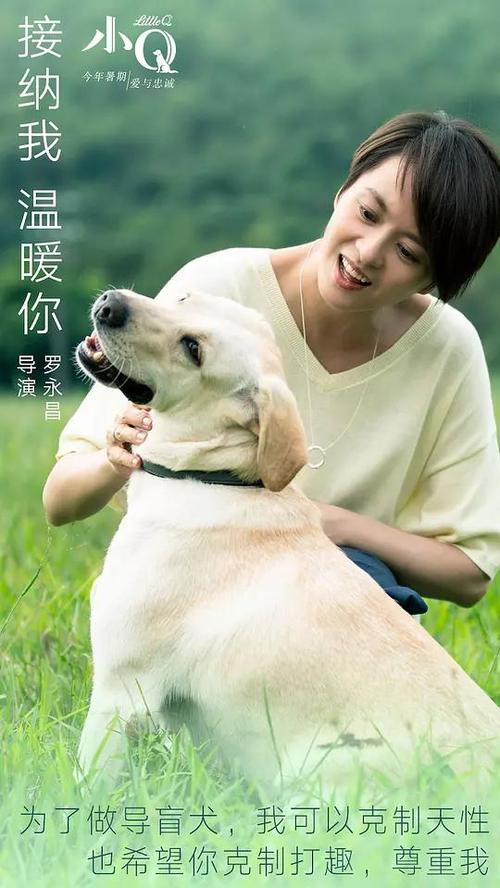 怎么找到东帝汶身份证KYC认证资料